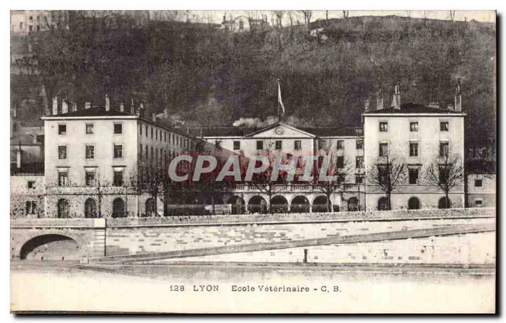 Lyon - Szkoła Weterynaryjna - G. B. - nr 128 - Awers