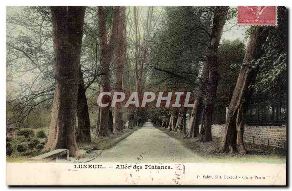 LUXEUIL — Avenida dos Plátanos — P. Valot, editor Luxeuil, Cliché Perrin - Frente