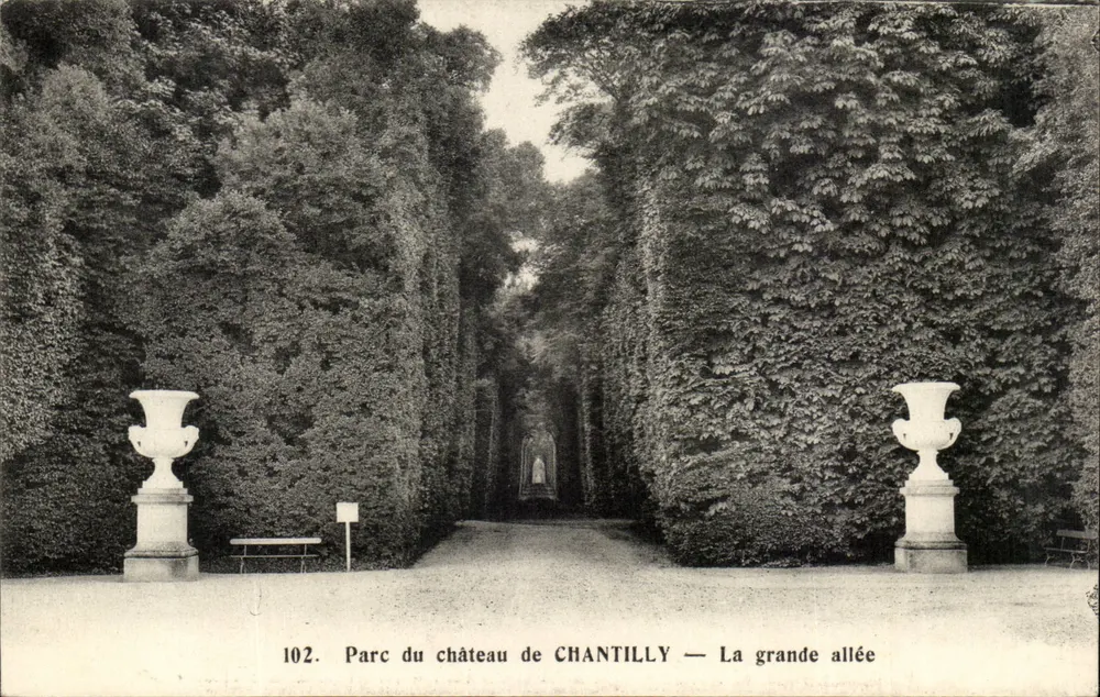 Park des Schlosses CHANTILLY — Die große Allee — Verlag ÉDIA PARIS-VERSAILLES, n° 102 - Vorderseite