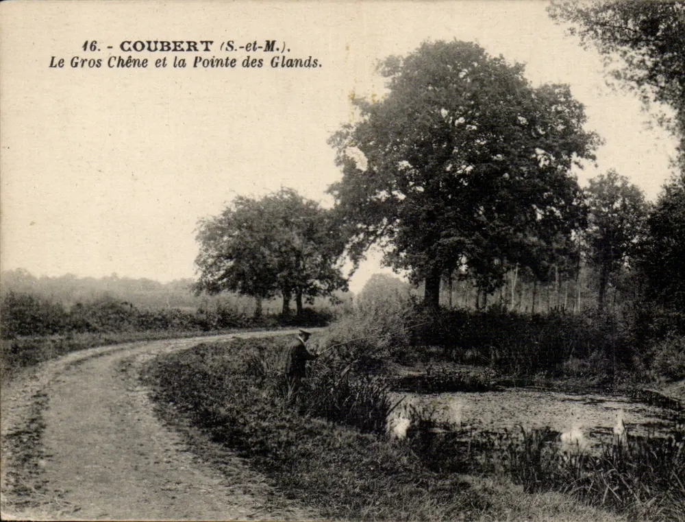 Coubert (S.-et-M.) — A Grande Carvalha e a Ponta dos Castanheiros — Edição Cosson, 8, rue Pierre-Chausson, Paris - Frente