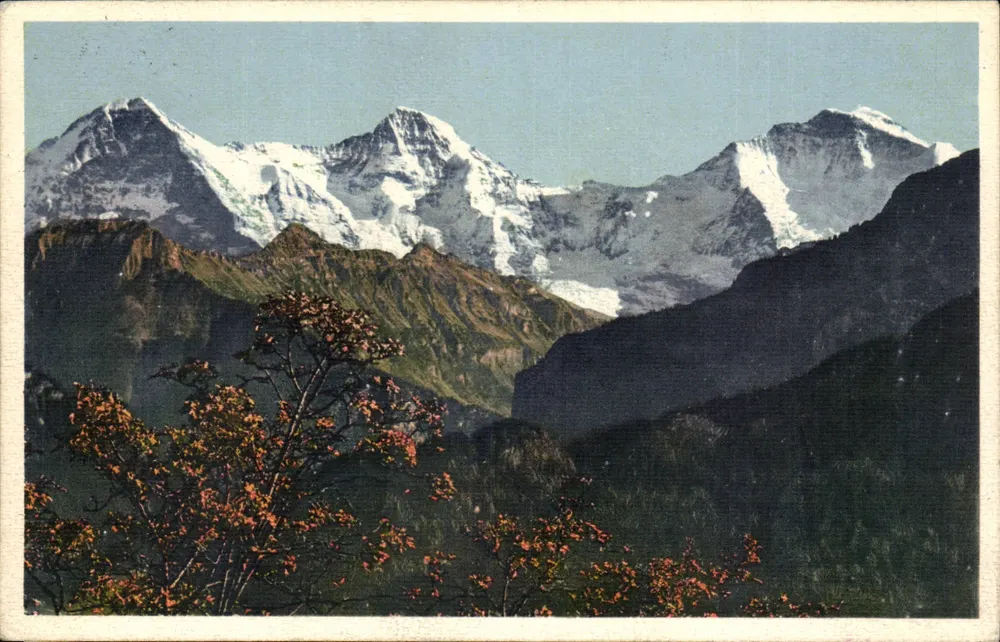 Eiger-Mönch-Jungfrau — vista alpina — editor A 5284 - Frente