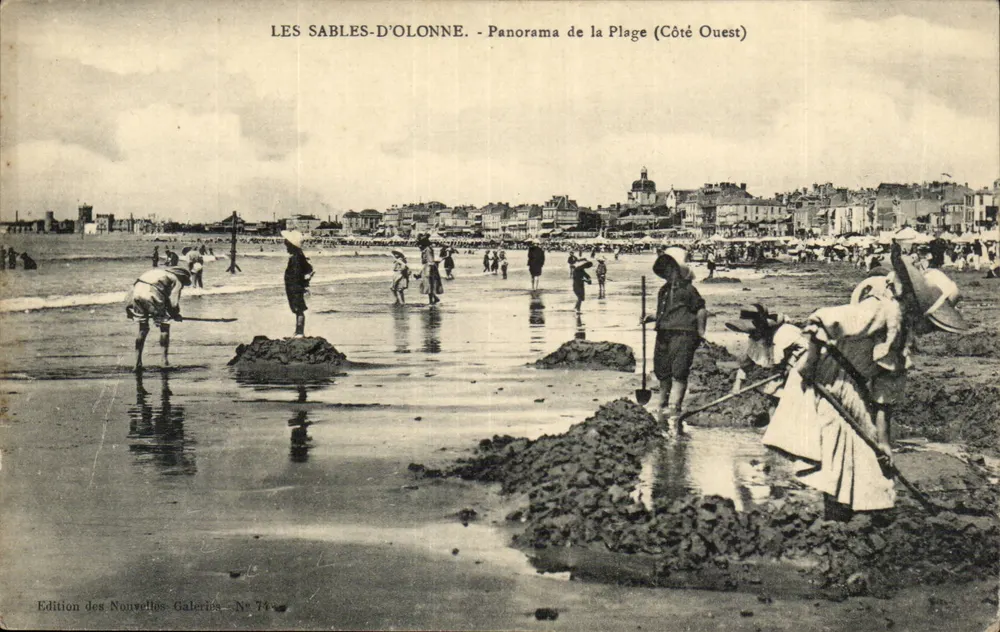 Les Sables-d'Olonne - Panorama da Praia (Lado Oeste) — Edição das Novas Galerias - N° 74 - Frente