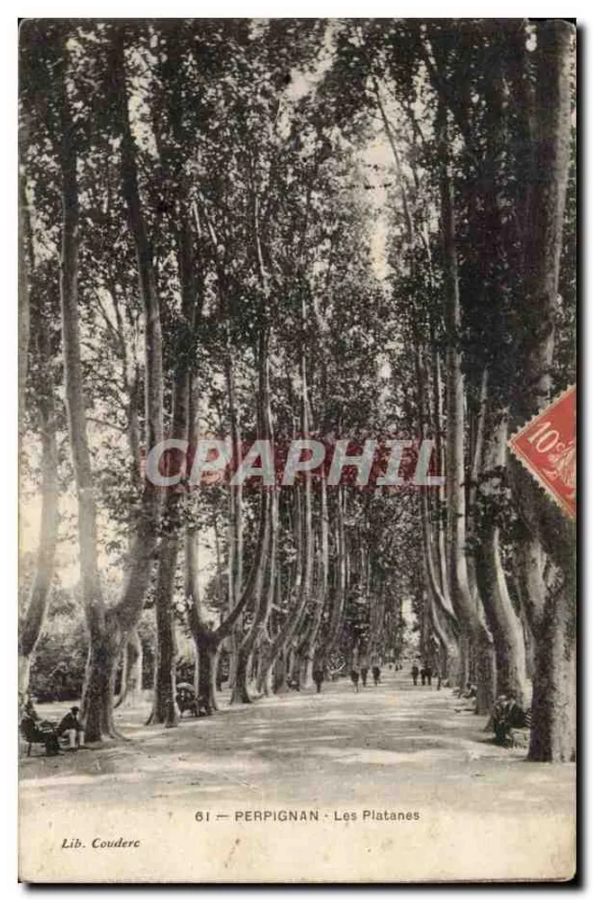 पेर्पिगनन - प्लाटेन - प्रकाशक कूडेरेक, संख्या 61 - आगे