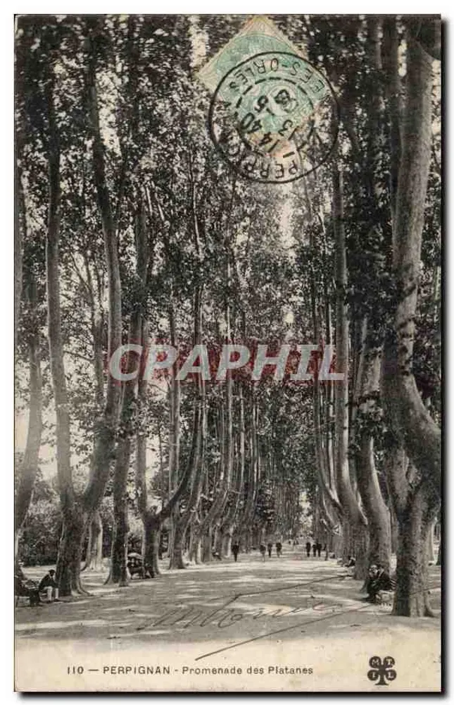 Perpignan — Promenade dos Plataneiros - Frente