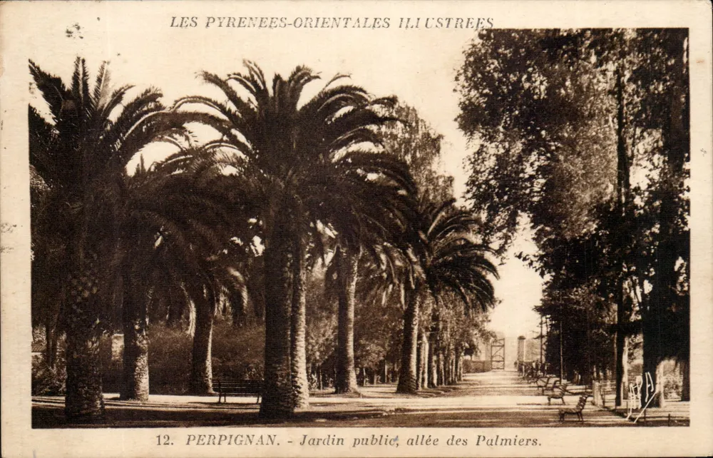 Perpignan — Öffentlicher Garten, Avenue der Palmen — Les Pyrénées-Orientales Illustrées, n°12 - Vorderseite