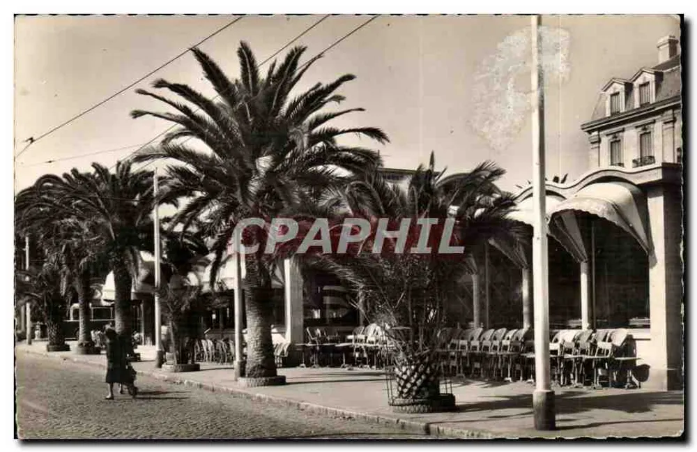 Perpignan — O Palmarium — Edições Perpignan - Frente