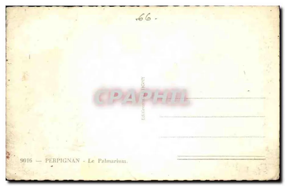 Perpignan — O Palmarium — Edições Perpignan - Verso