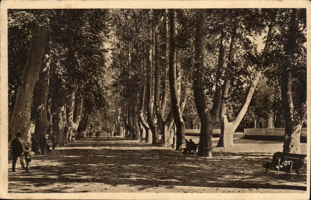 Les Platanes — Gragnano (Pyrénées-Orientales) — Les Éditions d'Art Yvon - Frente