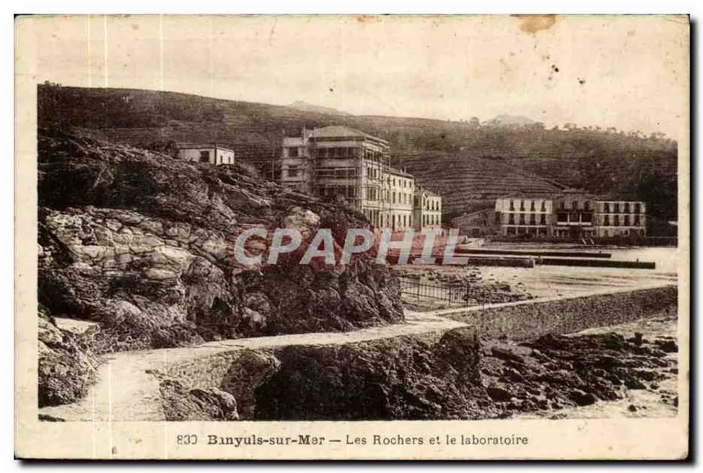 Banyuls-sur-Mer — Die Felsen und das Laboratorium — n° 833 - Vorderseite