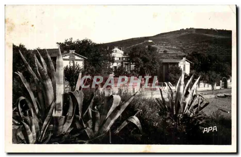 Banyuls-sur-Mer — Entrada do Sanatório — Les Cartes APA - ALBI n°22 - Frente
