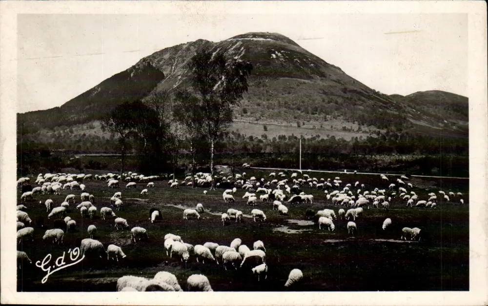 Puy-de-Dôme — vista do monte com rebanho — G.d'O. (editor) - Frente