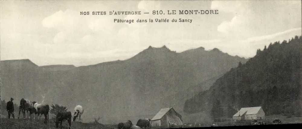 Mont-Dore — Weide in der Sancy-Tal — Verlag Albau, Paris - Vorderseite
