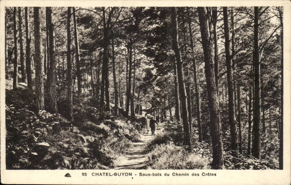 Châtel-Guyon — Sous-bois du Chemin des Crêtes — Photomécaniques d'Arthiasbourg-Schiltigheim - Awers