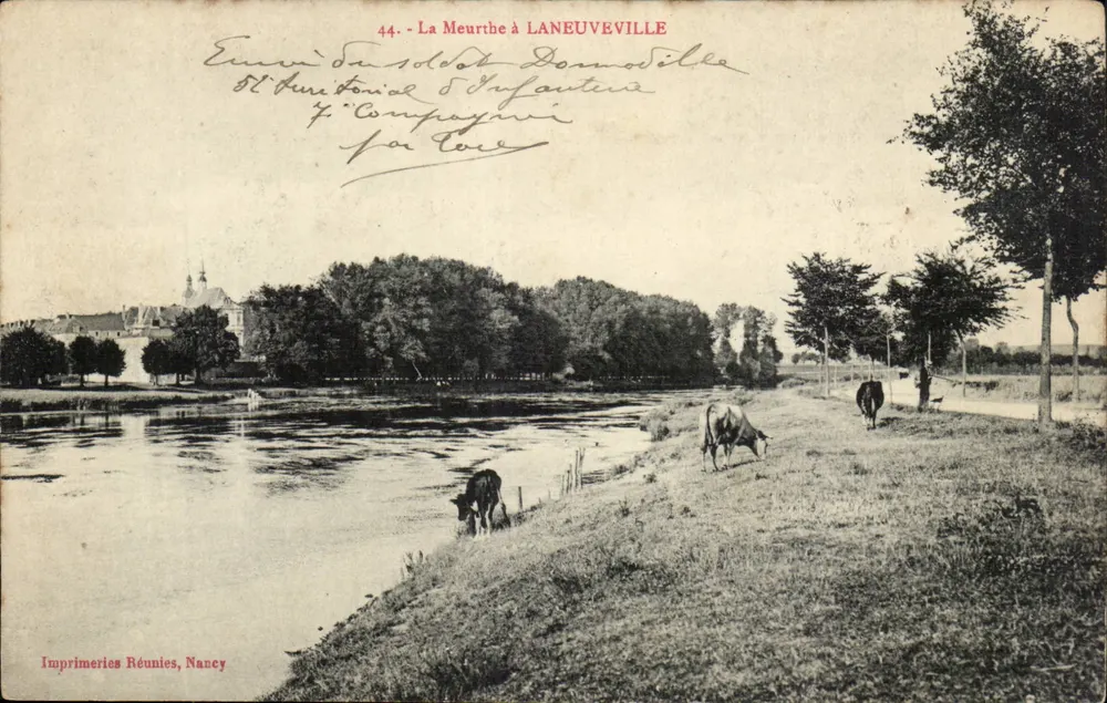 Die Meurthe bei LANEUVEVILLE — Ansicht des Flusses mit Kühen — Imprimeries Réunies, Nancy, n°44 - Vorderseite