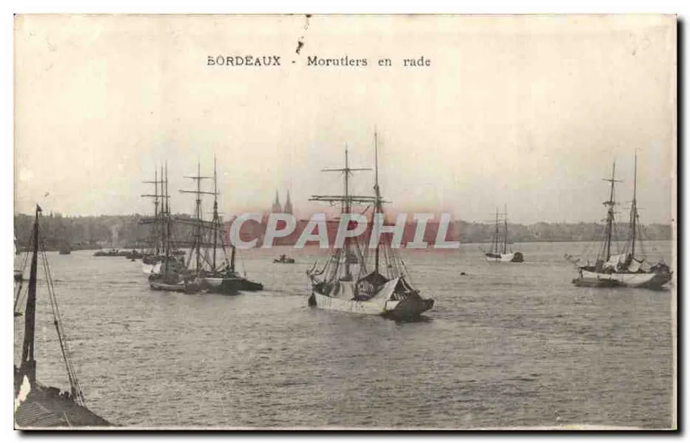 Bordeaux - Morutliers em rade - Frente