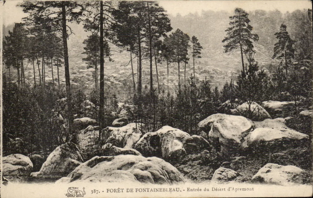 Fontainebleau-Wald — Eingang zum Wüstenbereich Apremont — n° 387 - Vorderseite