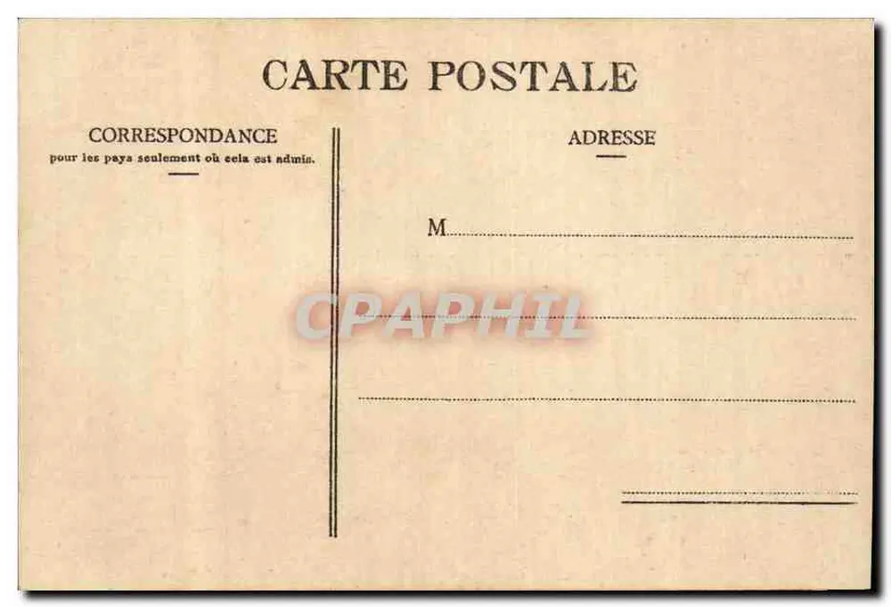 Alger - Versuchsgarten - Palmengasse — Verleger nicht sichtbar, Seriennummer 2451 - Rückseite