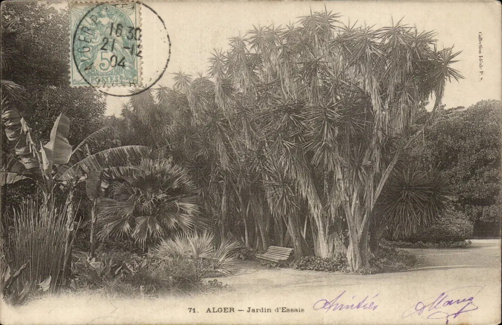 ALGER — Jardim de Ensaios — Editor Amirkh, n°71 - Frente