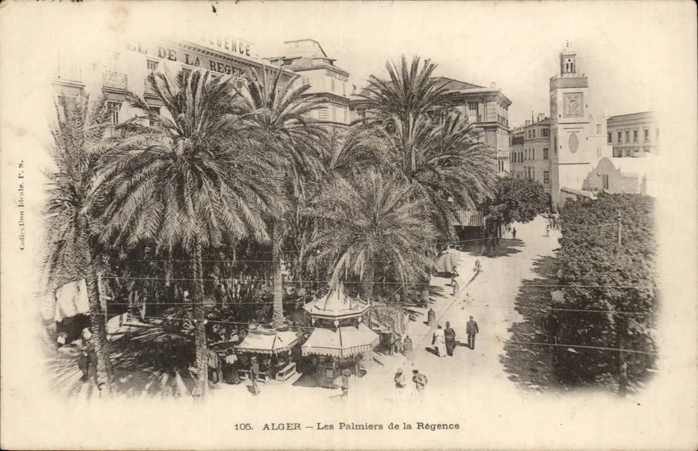 ALGER — Die Palmen der Régence — unbekannter Verlag, Nr. 105 - Vorderseite