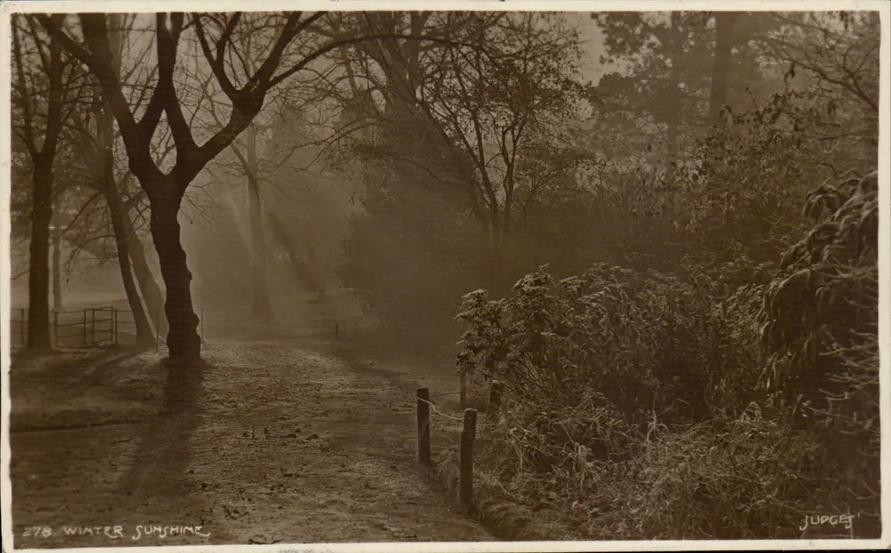 Winter Sunshine — Jupgey — Judges' Ltd. n°278 - Vorderseite