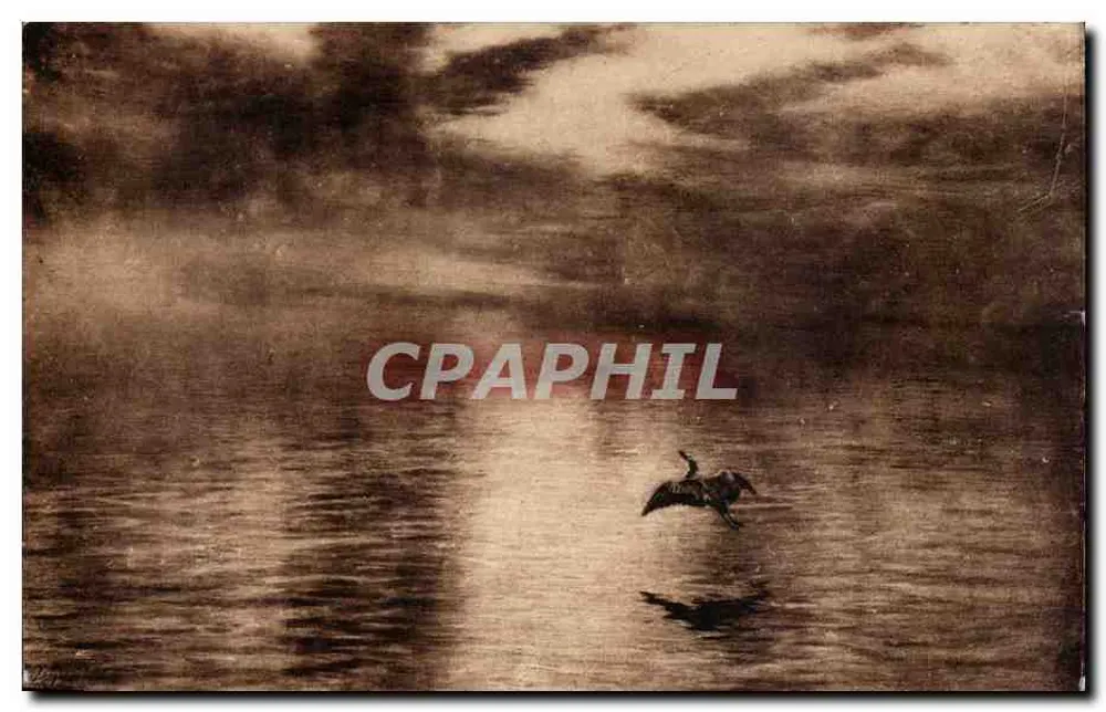 Vogel in Flug über einem See — Croydon, England — Walker Art Gallery - Vorderseite