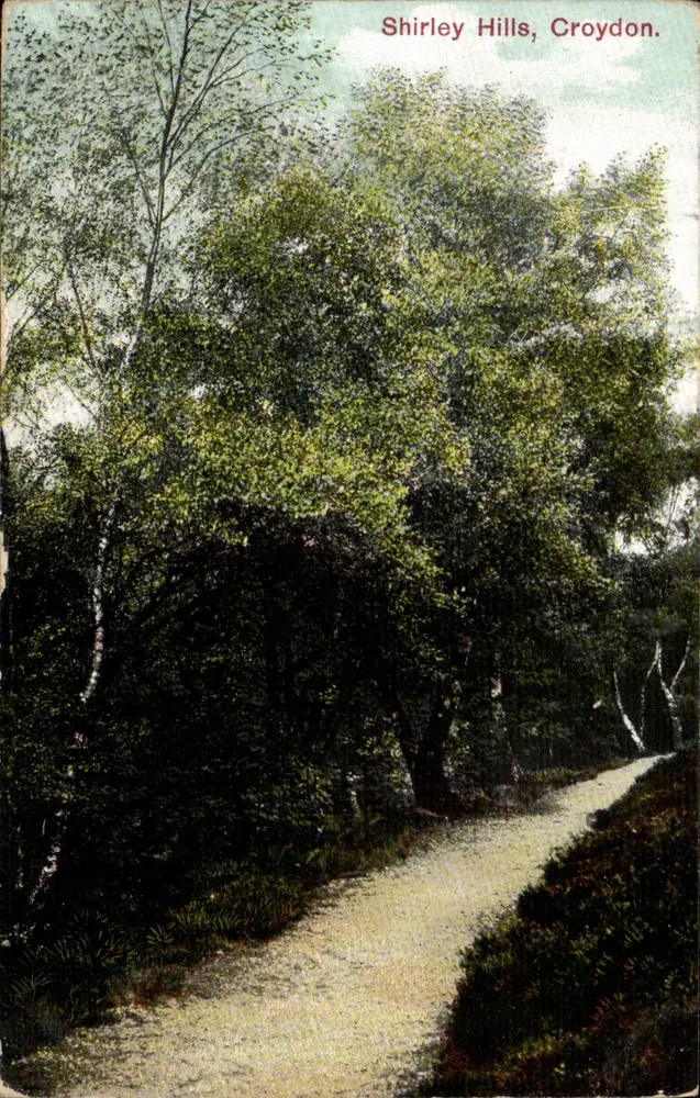 Shirley Hills, Croydon — an Paris gesendet — 1909 - Vorderseite