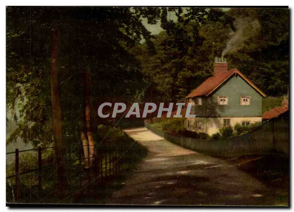 Cottage im Wald — Lane at Ballards, Croydon — R. & D. Duerer Series - Vorderseite