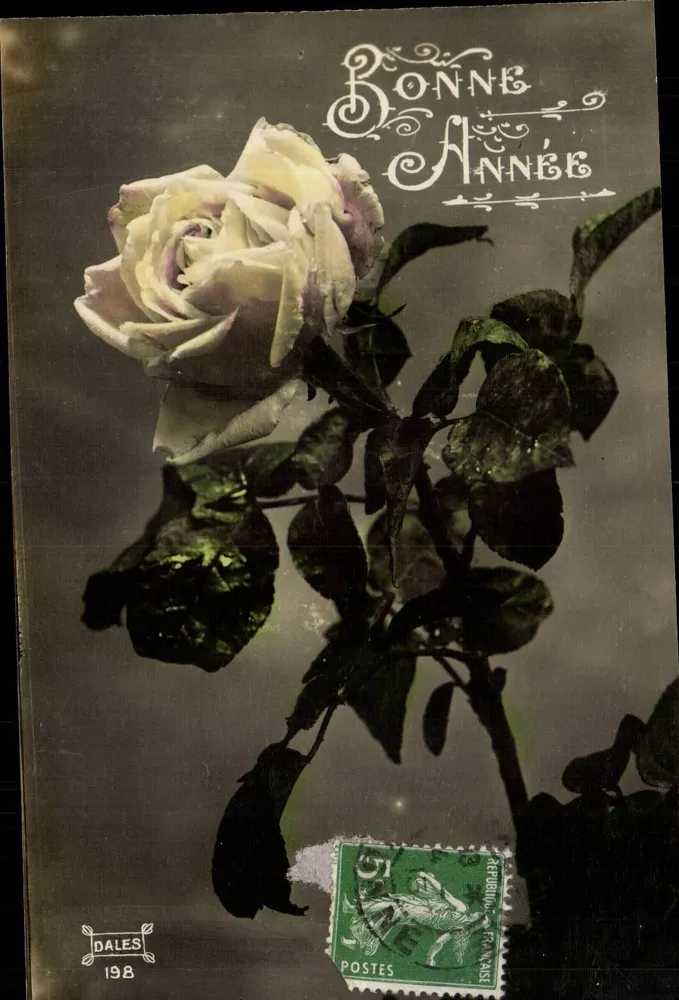 Rosa — Goed jaar — Dales 198 - Voorkant