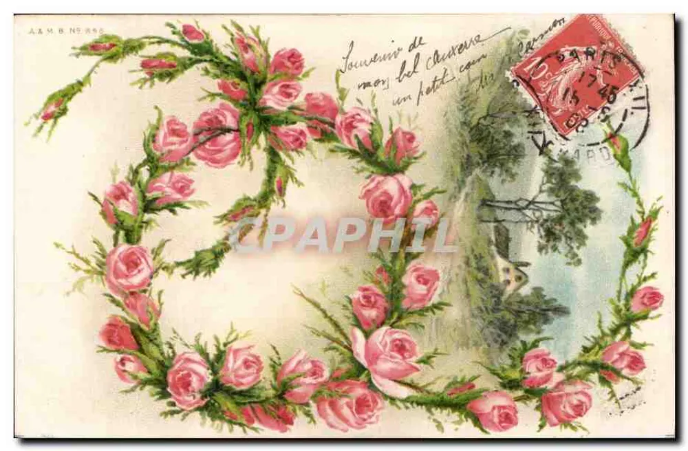 Rosier — Blumenrahmen — A & M B Nr. 896 - Vorderseite