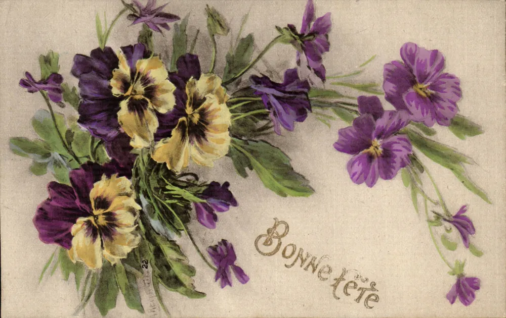 Violetter und gelber Chrysanthemenstrauß — Frohe Geburtstagskarte — anonymer Verlag, Nr. 22 - Vorderseite