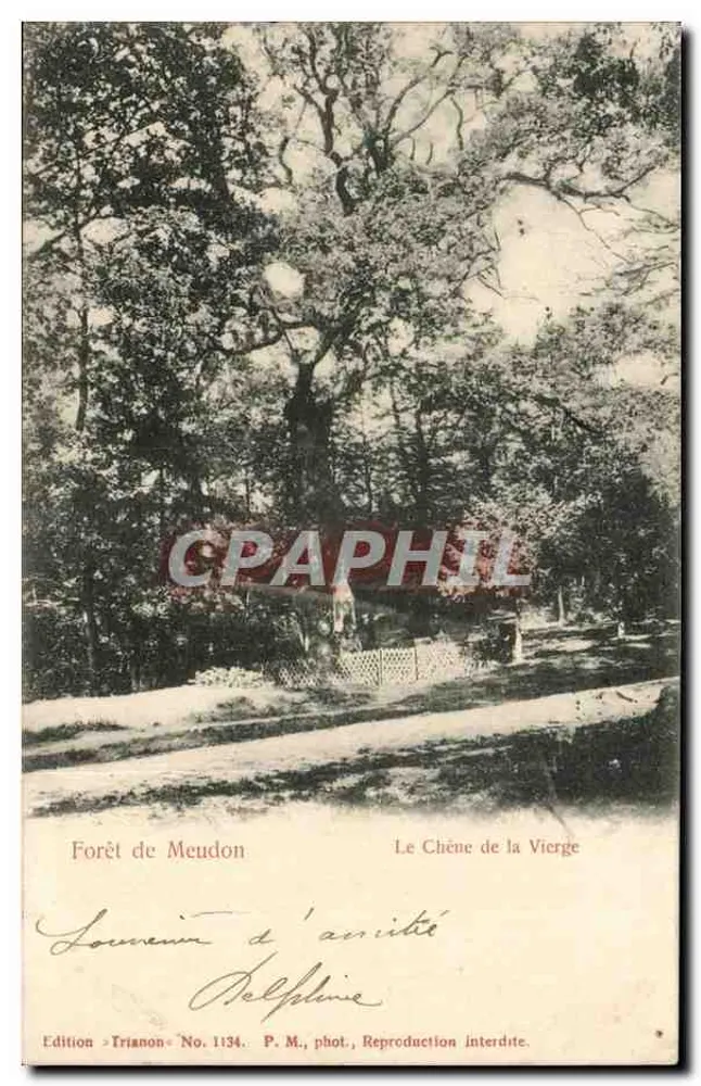 Floresta de Meudon — O Carvalho da Virgem — Edição Trianon, Número 1134 - Frente