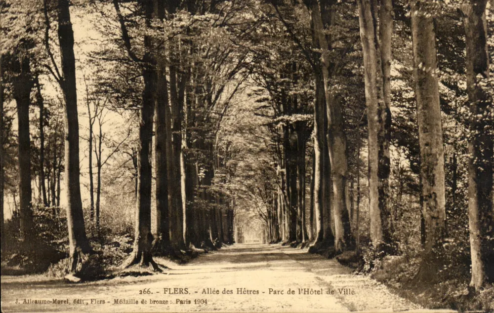 Flers - Reihe der Buchen - Park des Rathauses - Vorderseite