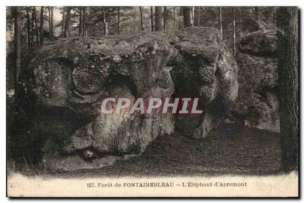 Floresta de Fontainebleau — O Elefante de Apremont — Editor: n° 157 - Frente