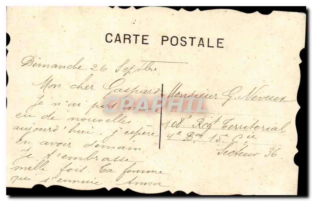 Flores de amizade — violetas em um carrinho — editor não visível - Verso