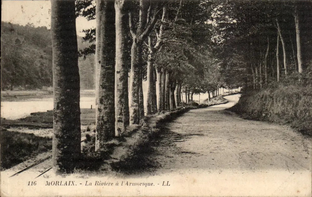 Morlaix - A Rio na Armorique — LL, n° 116 - Frente