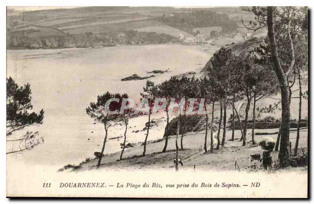 Douarnenez — Die Strand von Riz, Aufnahme vom Pinienwald — ND - Vorderseite