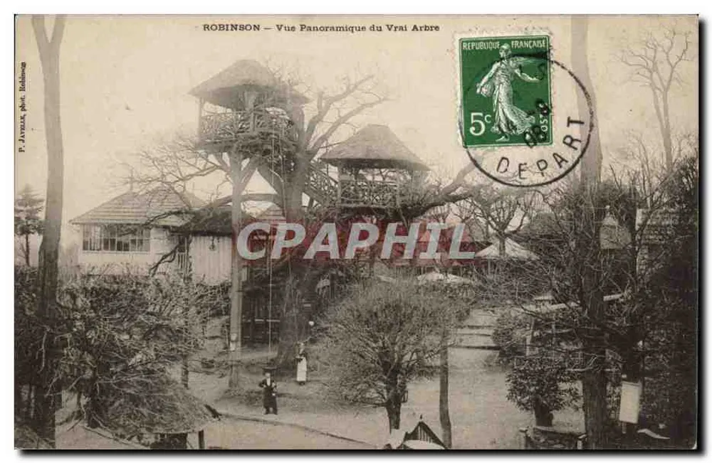 Robinson — Panoramablick auf den echten Baum — F. Javaux, phot. Robiong - Vorderseite