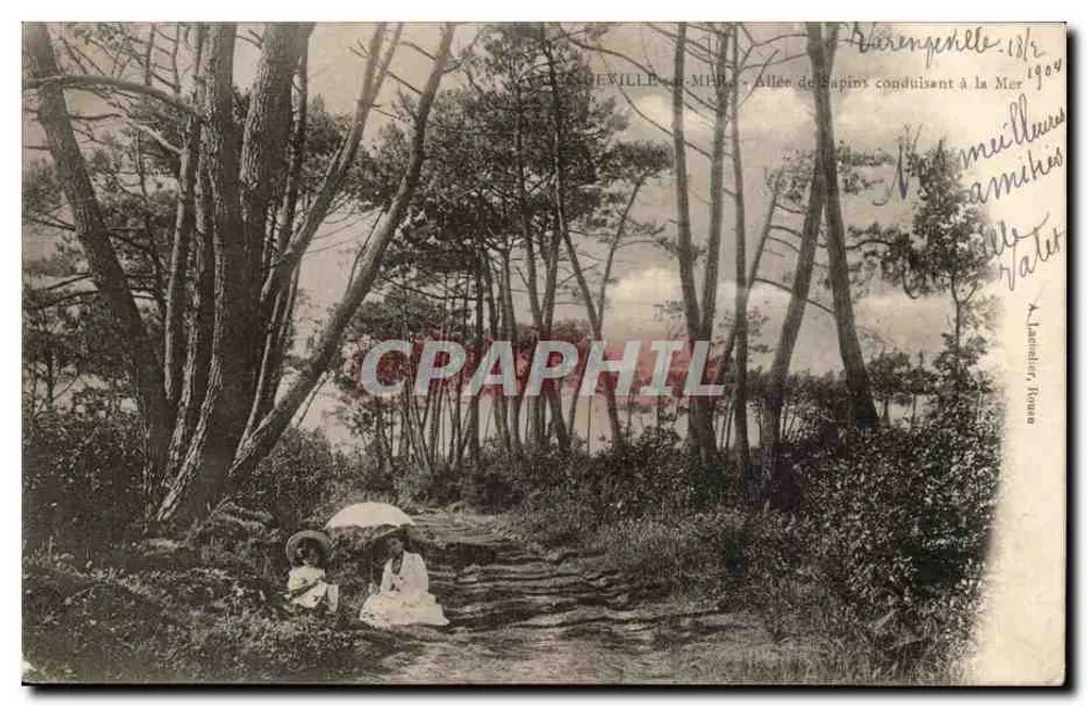 Varengeville-sur-Mer — Kiefernallee, die zum Meer führt — Laucelie, Frankreich - Vorderseite