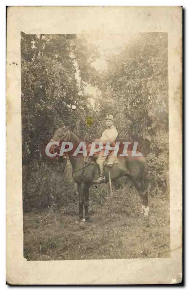 Reiter auf Pferd — Wald — anonyme Ansichtskarte - Vorderseite