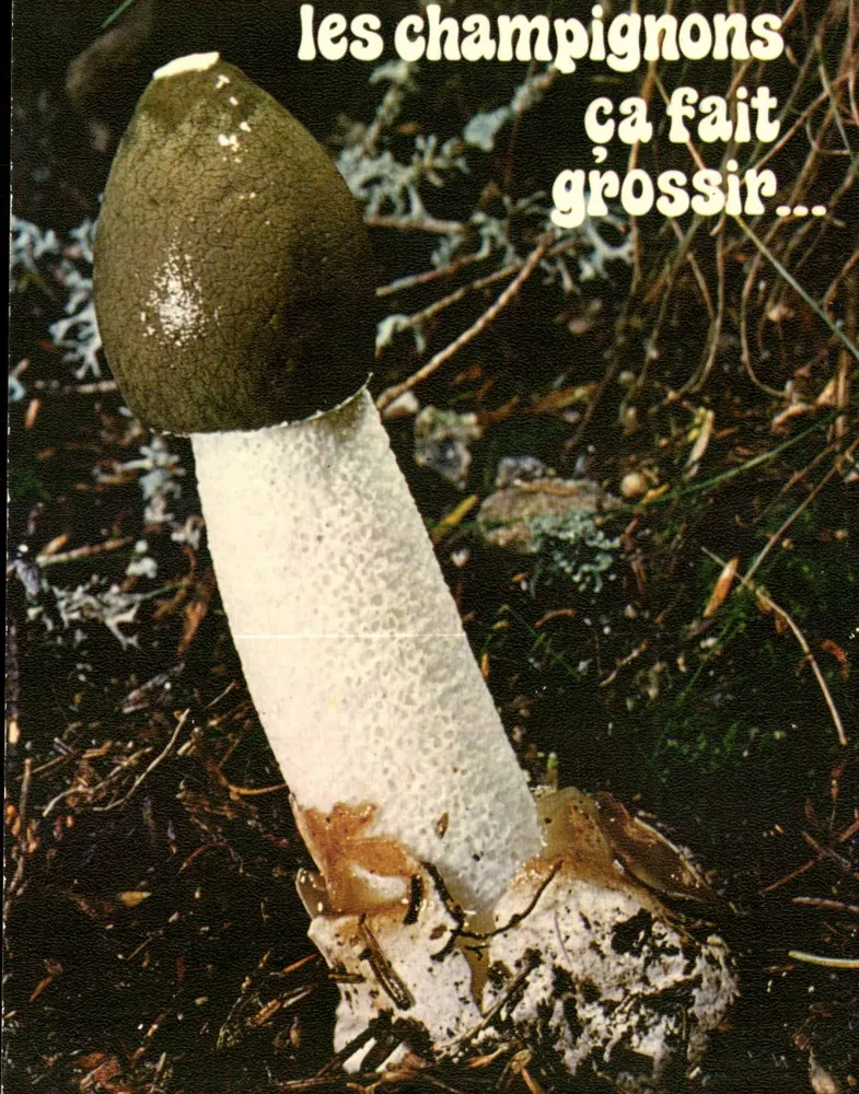 Champignon — publicité anti-champignons — CAP - THEOJAC Éditions - Recto