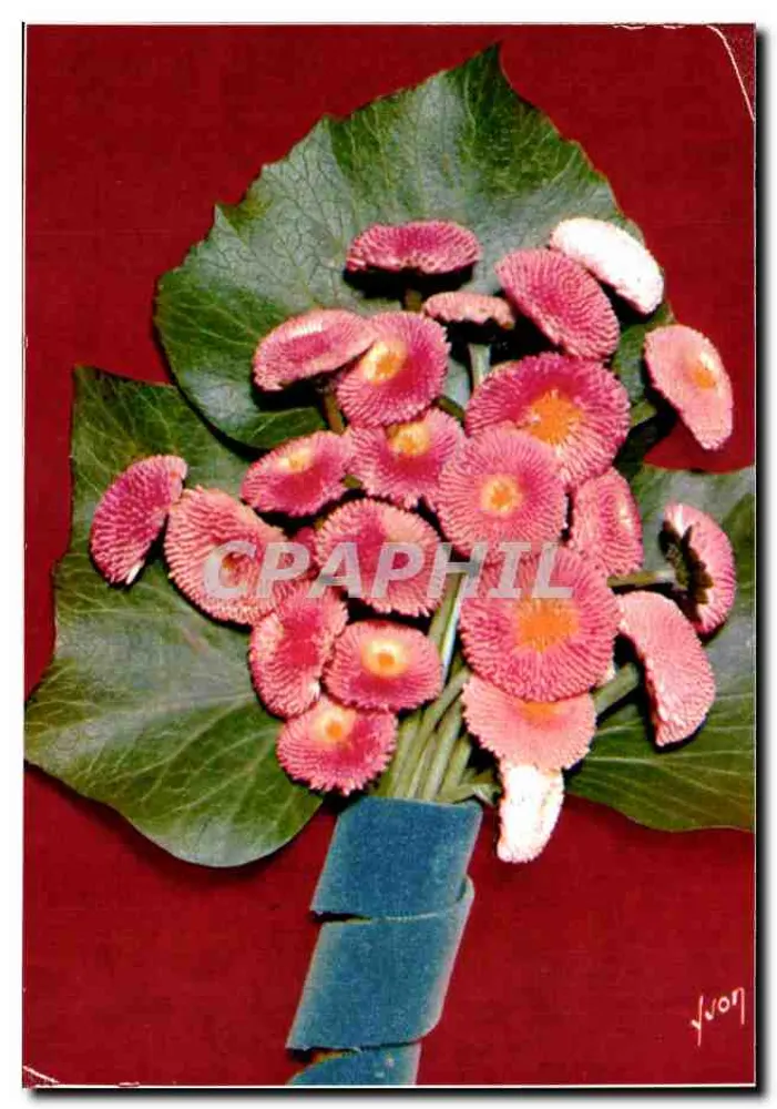 Buquê de gerberas — editor Yvon, n° 107 - Frente