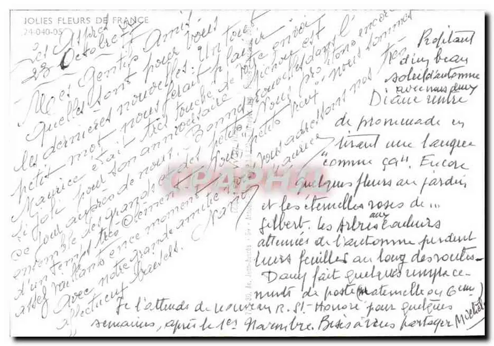Buquê de gerberas — editor Yvon, n° 107 - Verso
