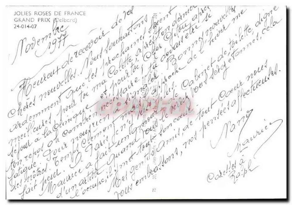 Rosen — Grand Prix de France — Verlag Delbard, n° 24-014-07 - Rückseite