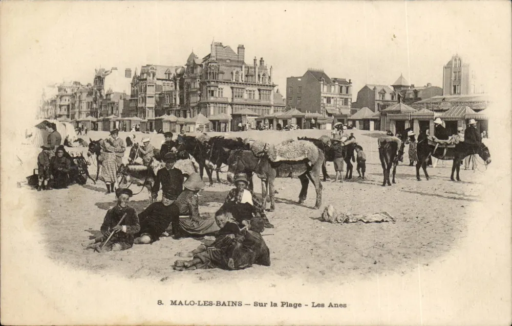 MALO-LES-BAINS — Auf der Strand — Die Esel — Falciny, Phot.-Edit., Dunkerque - Vorderseite