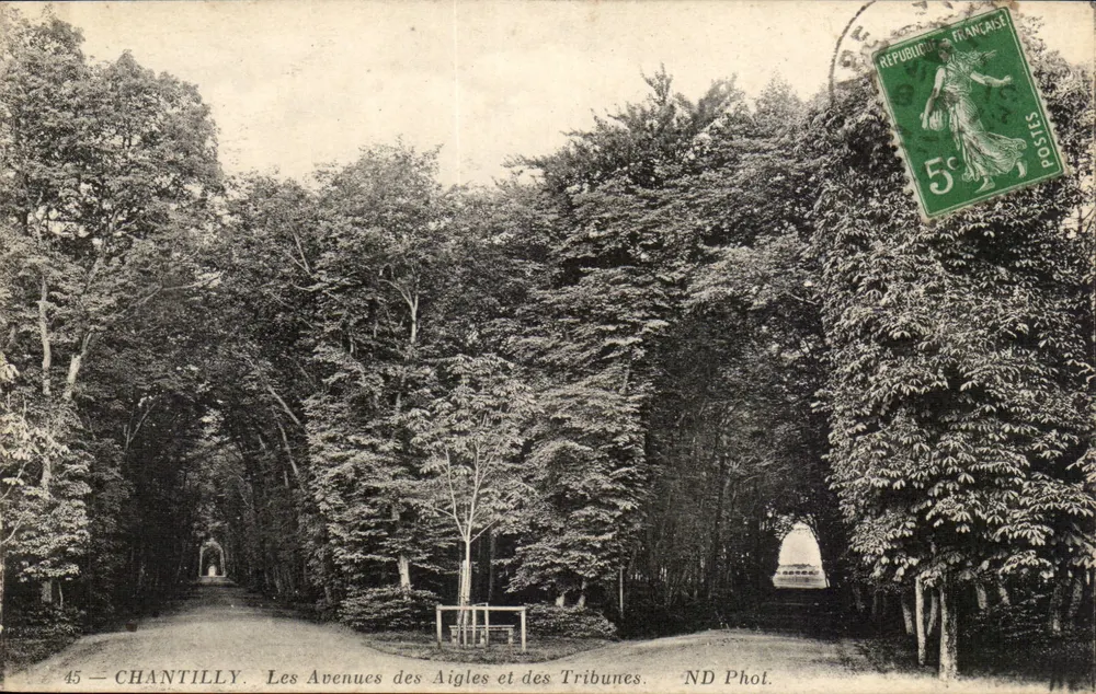 Chantilly — Avenuen der Adler und der Tribünen — ND Phol. - Vorderseite