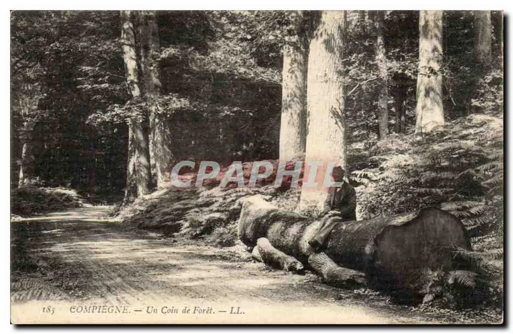 Compiègne — Um Canto da Floresta — LL. - Frente