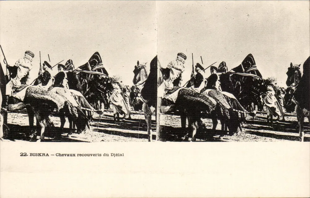 Biskra — Pferde mit Djélal bedeckt - Vorderseite