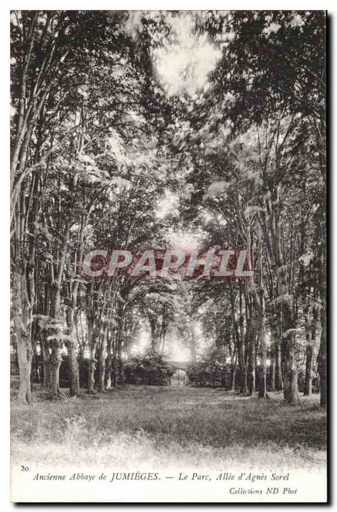 Alte Abtei Jumièges — Der Park, Avenue d'Agnès Sorel — Collections ND Phot - Vorderseite