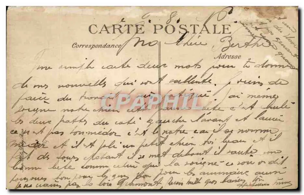 Le Havre — Boulevard Albert 1er e a Hève — Editor ELD, n° 296 - Verso