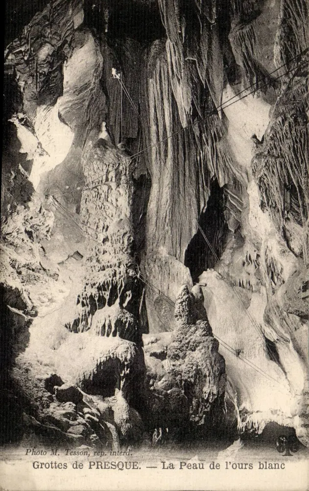 Cuevas de PRESQUE — La Piel del oso blanco — Foto de M. Tesson, rep. prohibida - Anverso